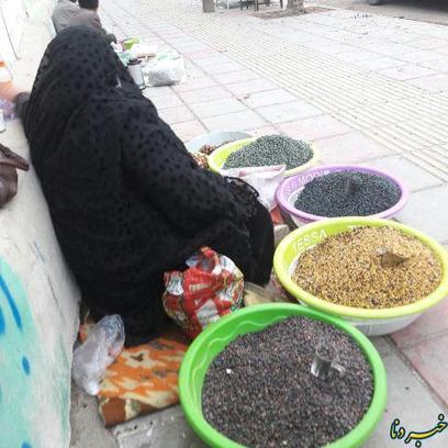   گرد فقر بر چهره خیابان‌های پایتخت طبیعت ایران زمین + تصاویر